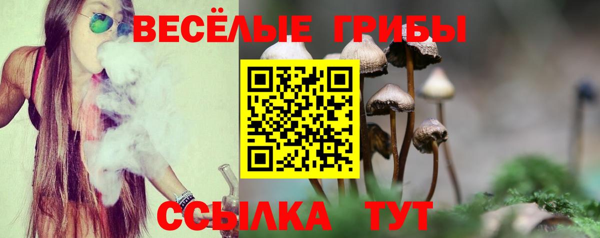 Таганрог  Галлюциногенные грибы прущие грибы  Вход с VPN 